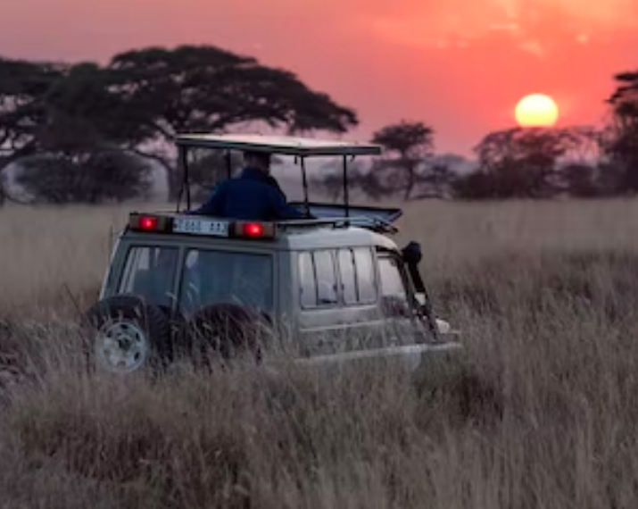 Safety Travel Awareness Training